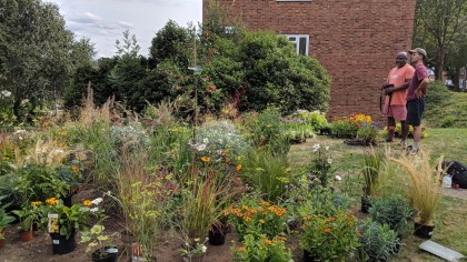 IMG_20180823_155014 (1).jpg