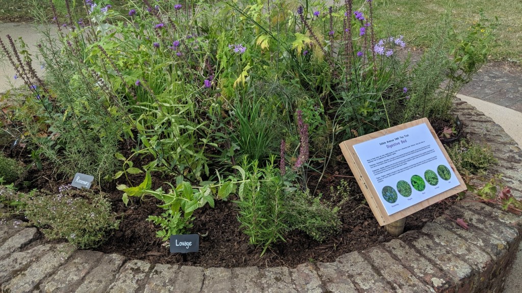 Our horticultural installations and project-based&nbsp;work